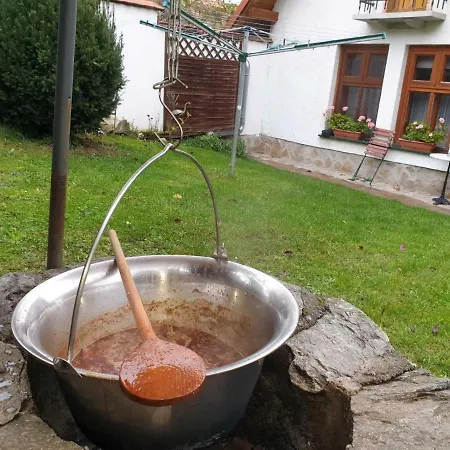 Sziget Vendeghaz Apartment Koszeg